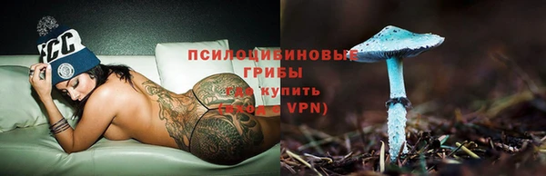 a pvp Михайловка
