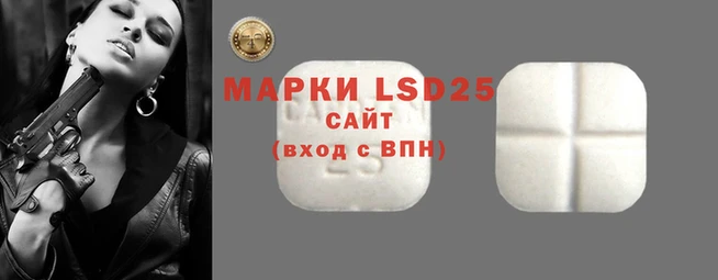 прущие грибы Белая Холуница