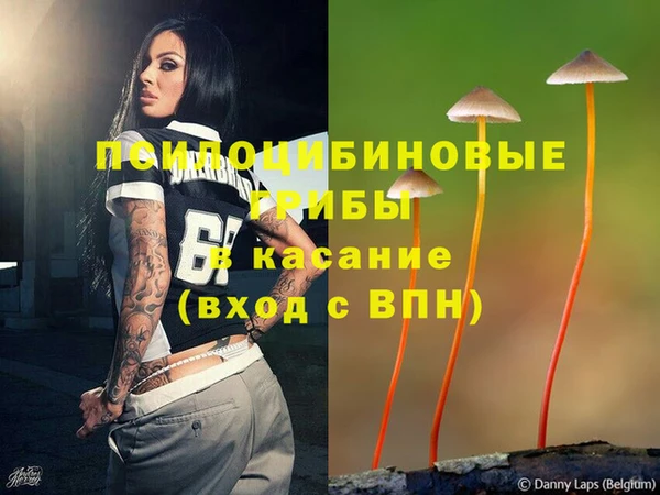 СК Михайлов