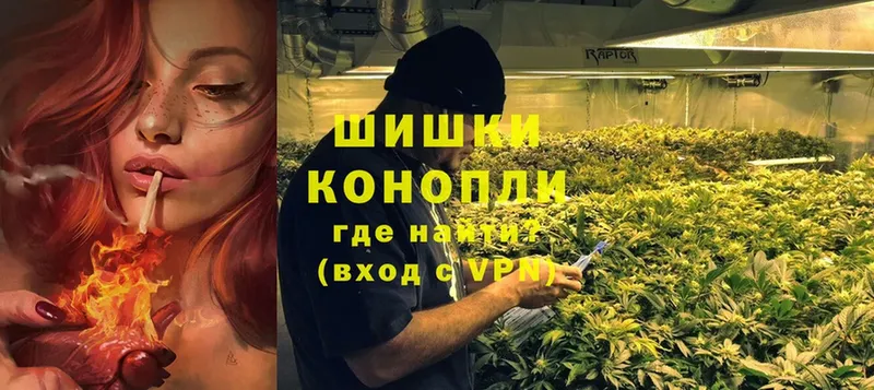 Бошки Шишки White Widow  наркотики  Покровск 